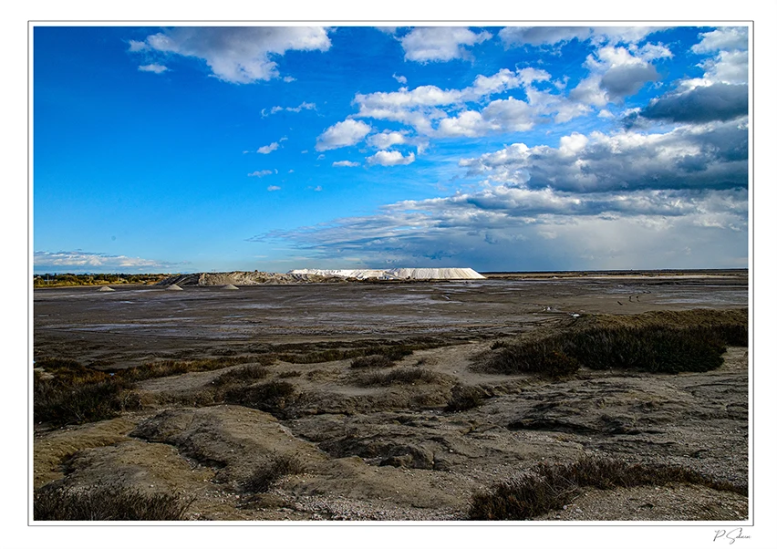 Salins de Giraud